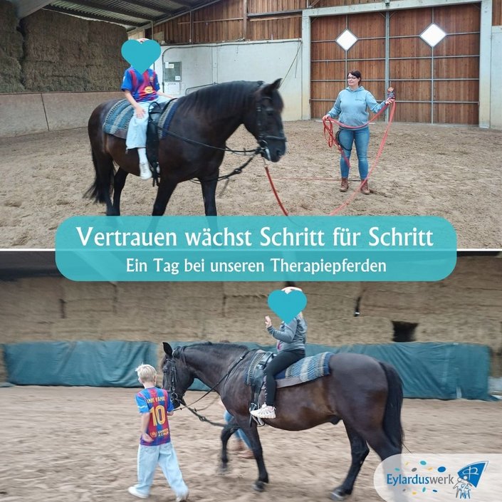 🐴🌿 𝑬𝒓𝒔𝒕 𝒗𝒐𝒓𝒔𝒊𝒄𝒉𝒕𝒊𝒈 𝒅𝒊𝒆 𝒁ü𝒈𝒆𝒍 𝒊𝒏 𝒅𝒊𝒆 𝑯𝒂𝒏𝒅 𝒏𝒆𝒉𝒎𝒆𝒏. 𝑫𝒂𝒏𝒏 𝒅𝒂𝒔 𝑷𝒇𝒆𝒓𝒅 𝒔𝒆𝒍𝒃𝒔𝒕 𝒇ü𝒉𝒓𝒆𝒏. 𝑼𝒏𝒅 𝒊𝒓𝒈𝒆𝒏𝒅𝒘𝒂𝒏𝒏 𝒈𝒂𝒏𝒛 𝒔𝒆𝒍𝒃𝒔𝒕𝒗𝒆𝒓𝒔𝒕ä𝒏𝒅𝒍𝒊𝒄𝒉 𝒊𝒎... 🐴🌿 𝑬𝒓𝒔𝒕 𝒗𝒐𝒓𝒔𝒊𝒄𝒉𝒕𝒊𝒈 𝒅𝒊𝒆 𝒁ü𝒈𝒆𝒍 𝒊𝒏 𝒅𝒊𝒆 𝑯𝒂𝒏𝒅 𝒏𝒆𝒉𝒎𝒆𝒏. 𝑫𝒂𝒏𝒏 𝒅𝒂𝒔 𝑷𝒇𝒆𝒓𝒅 𝒔𝒆𝒍𝒃𝒔𝒕 𝒇ü𝒉𝒓𝒆𝒏. 𝑼𝒏𝒅 𝒊𝒓𝒈𝒆𝒏𝒅𝒘𝒂𝒏𝒏 𝒈𝒂𝒏𝒛 𝒔𝒆𝒍𝒃𝒔𝒕𝒗𝒆𝒓𝒔𝒕ä𝒏𝒅𝒍𝒊𝒄𝒉 𝒊𝒎...